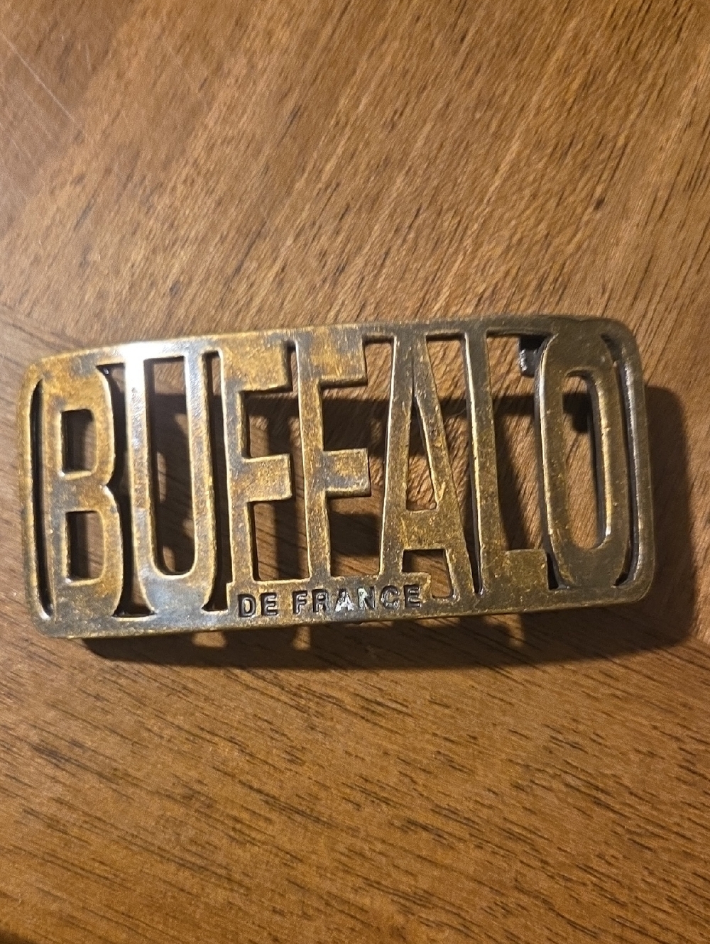 Buffalo Brass Belt Buckle - Gold Tone